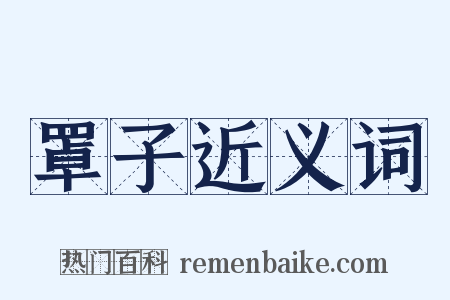 罩子近义词是什么意思的图片